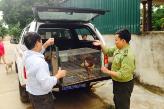 <p>Trung tâm Cứu hộ, bảo tồn và Phát triển sinh vật tiếp nhận động vật hoang dã quý hiếm để cứu hộ</p>